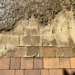 Pan do Plam Kompleksowo dla Czystości Artur Janiec - Częściowo umyta, mokra kostka brukowa. Górna część brudna od błota i roślinności, dolna – czysta, w odcieniach brązu. Widoczne refleksy światła w wodzie.