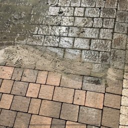 Pan do Plam Kompleksowo dla Czystości Artur Janiec - Częściowo umyta kostka brukowa z widocznymi śladami brudu i wody, ukazująca różnicę w wyglądzie przed i po czyszczeniu. W tle widoczne refleksy światła.