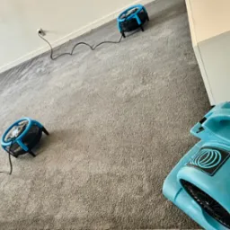 Szary dywan po praniu, suszony czterema niebieskimi wentylatorami. Duża maszyna do prania dywanów widoczna w prawym dolnym rogu.