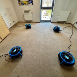 Pan do Plam Kompleksowo dla Czystości Artur Janiec - Cztery niebieskie wentylatory osuszające DRI-POD na beżowej wykładzinie w pokoju z oknem, szafą i grzejnikiem. Urządzenia podłączone do gniazdek elektrycznych.