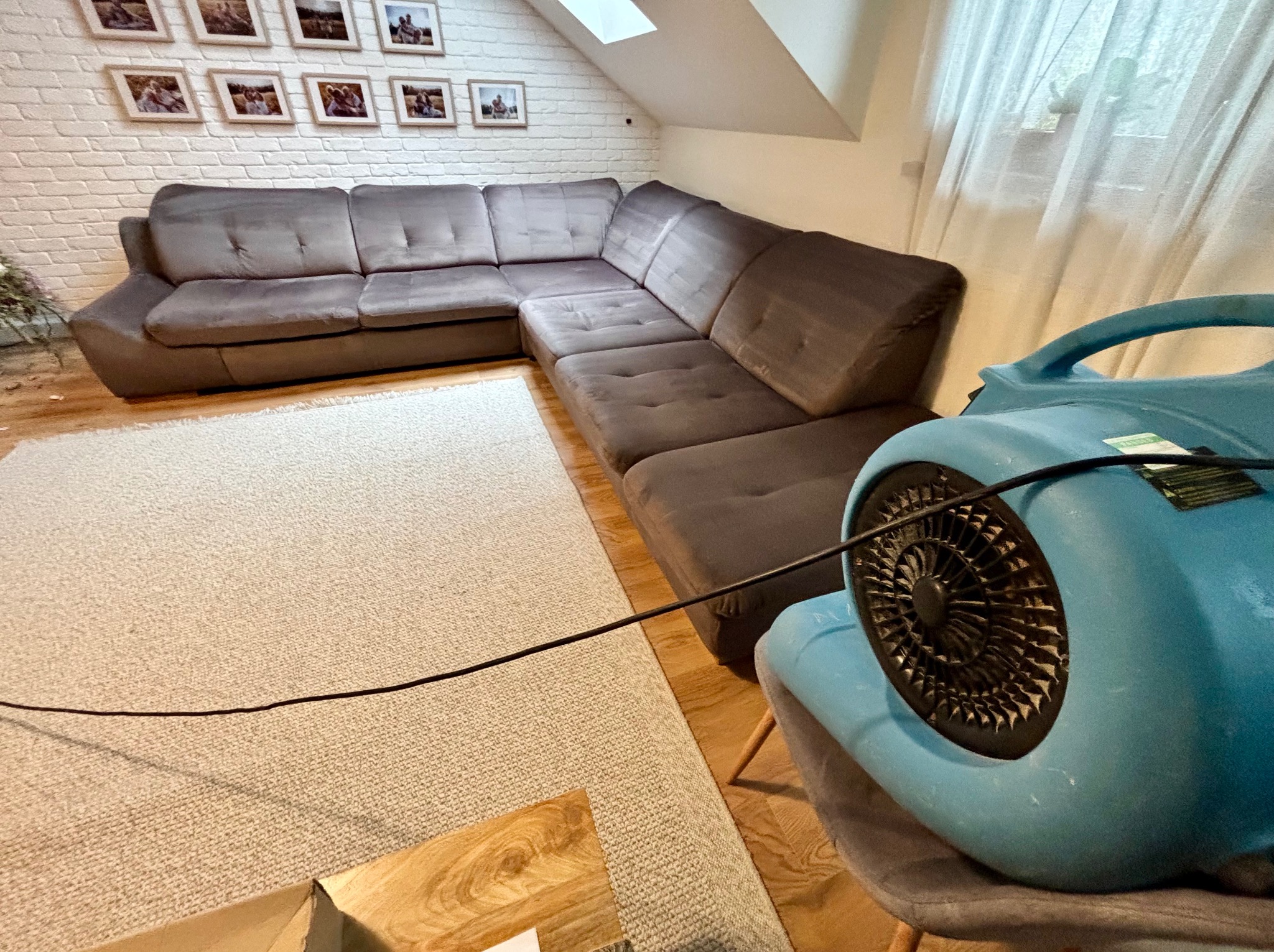 Profesjonalne pranie narożnika z użyciem specjalistycznego sprzętu. Widoczny narożnik w odcieniach szarości i maszyna czyszcząca w kolorze niebieskim.