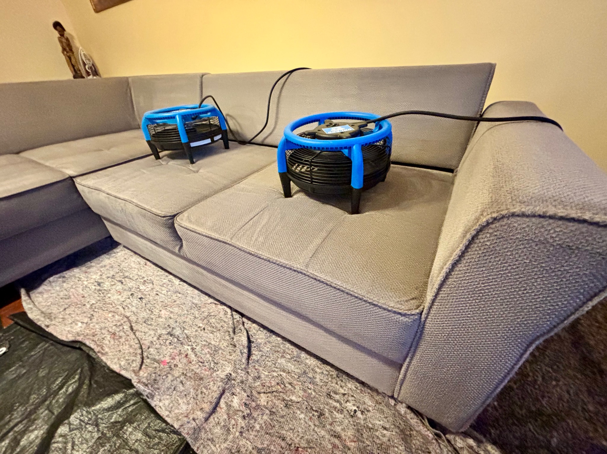 Szara kanapa narożna z dwoma wentylatorami suszącymi na siedziskach, zabezpieczona folią i materiałem ochronnym na podłodze. Suszenie po czyszczeniu tapicerki.