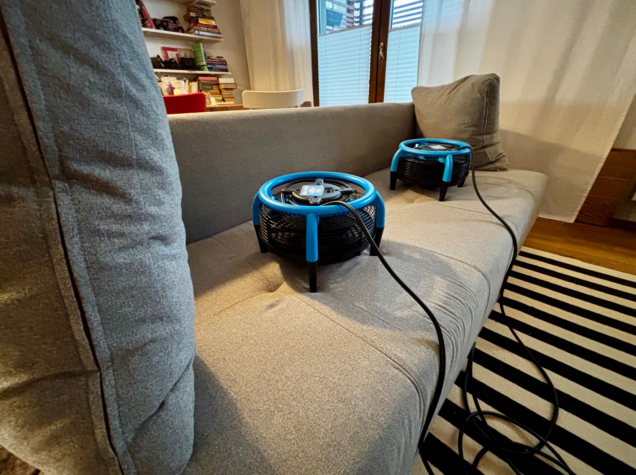 Szara kanapa z dwoma czarnymi wentylatorami z niebieskimi akcentami, suszącymi tapicerkę. Widoczny fragment wzorzystego dywanu i książki na półce w tle.