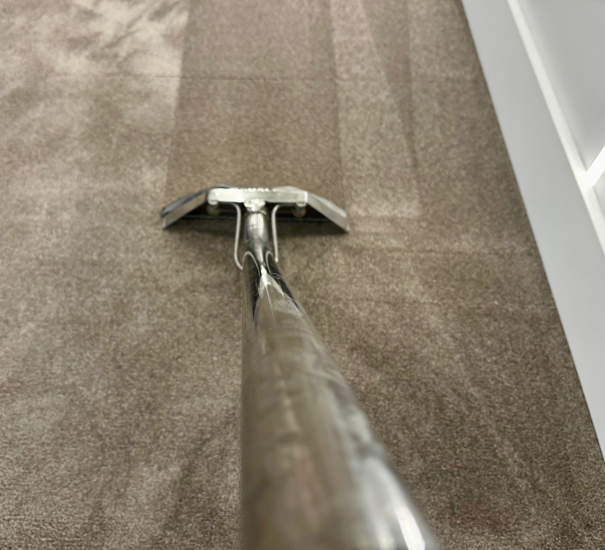 Pranie dywanu w Szydłowcu za pomocą profesjonalnego sprzętu. Widoczna różnica w czystości po zabiegu.