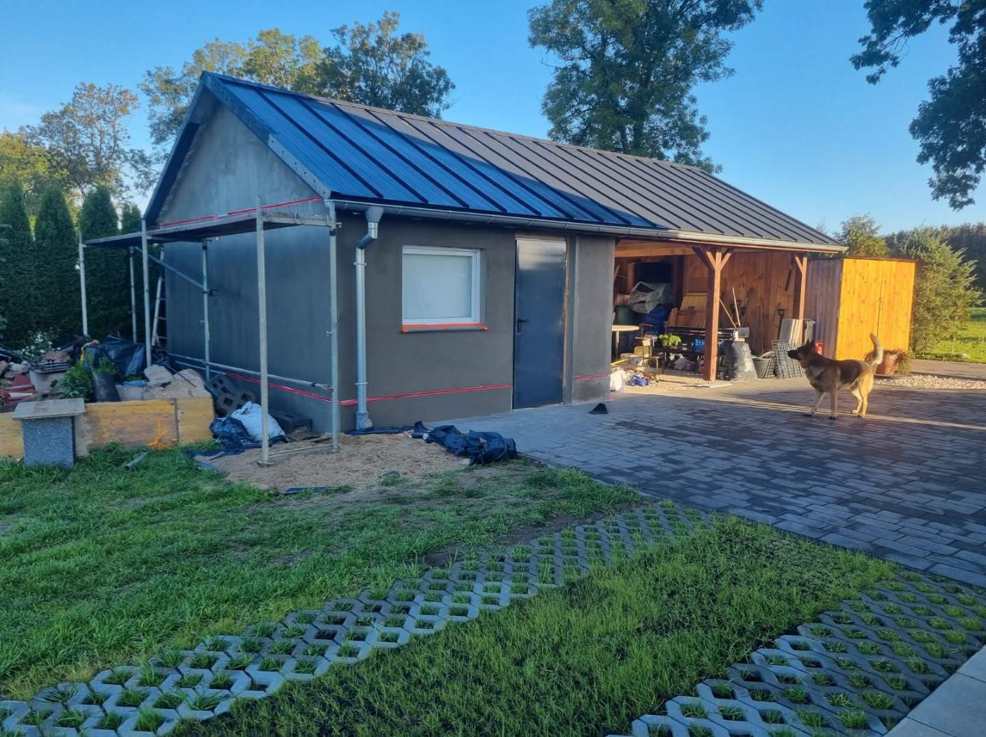 Budynek gospodarczy z szarą elewacją w trakcie prac wykończeniowych, widoczne rusztowania, częściowo otynkowana ściana, czarne worki z odpadami budowlanymi i pies rasy owczarek niemiecki na kostce...