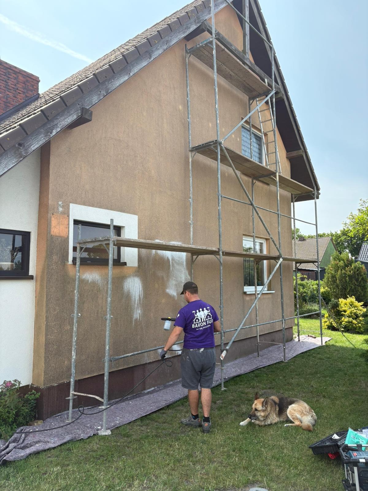 Pracownik w trakcie natryskowego malowania elewacji domu z rusztowania. W tle pies rasy owczarek niemiecki. Używana plandeka ochronna. Widoczne ślady po natrysku.