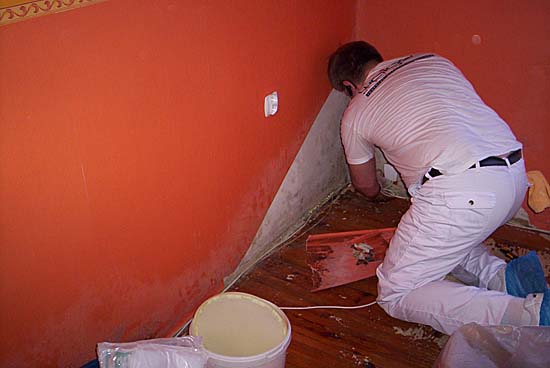 Osuszanie, odgrzybianie, dezynfekcja