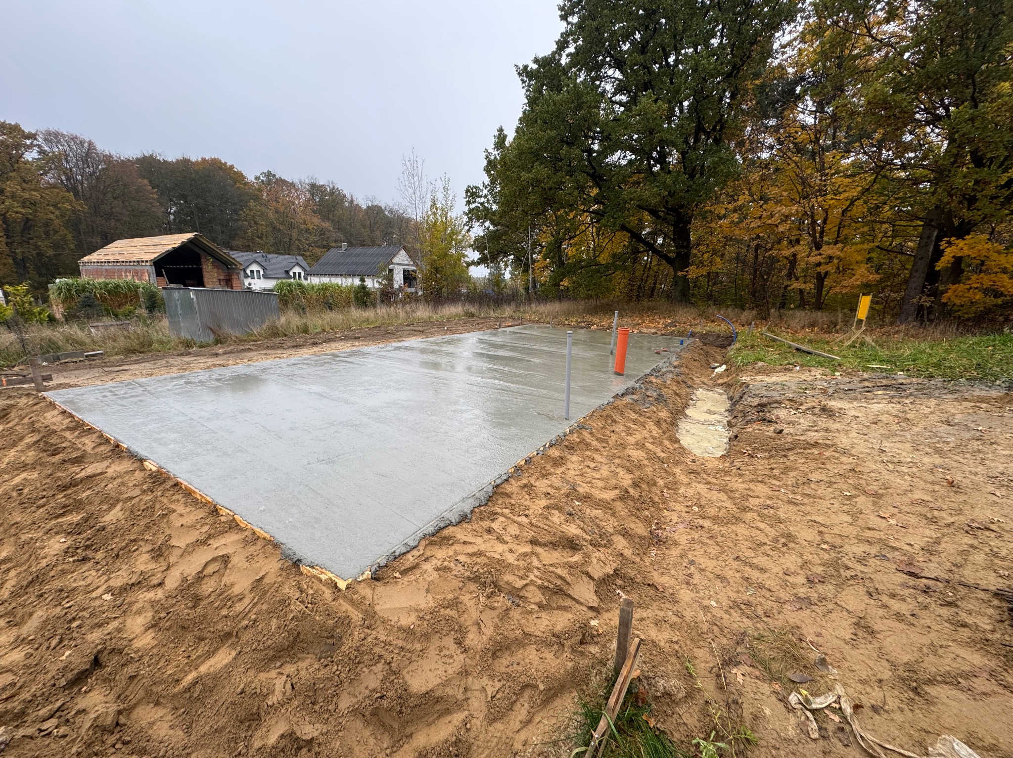Świeżo wylana, mokra płyta fundamentowa pod budowę domu na działce z drzewami w jesiennej scenerii. Widoczne szalunki i wystające rury instalacyjne.
