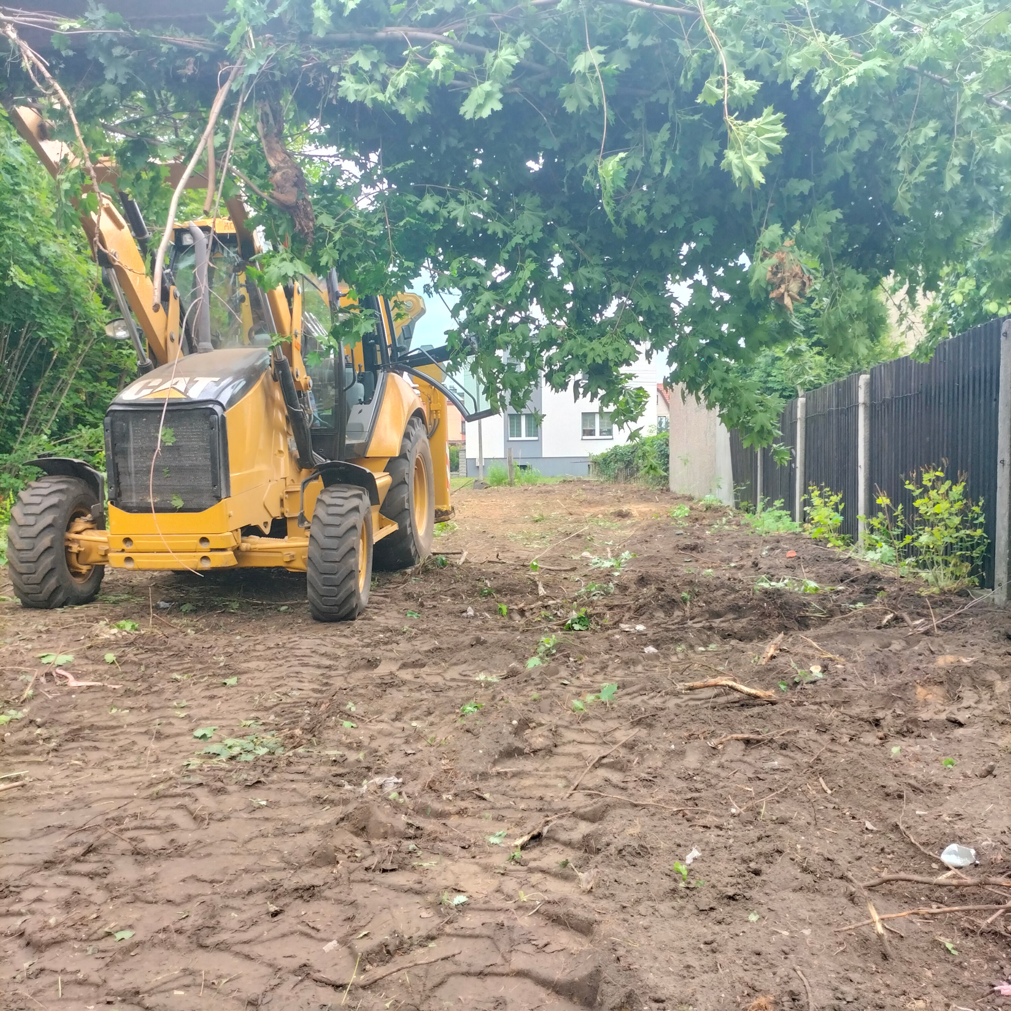 Żółta koparko-ładowarka CAT na placu budowy z częściowo wykarczowanym terenem, widoczne ślady opon w błocie, drzewa częściowo zasłaniają maszynę, w tle budynek mieszkalny i ogrodzenie.