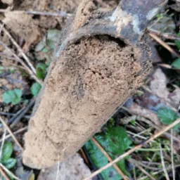 Szpadel z mokrą, piaszczystą ziemią w naturalnym środowisku z liśćmi i trawą, z bliska.