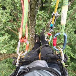 Wycinka drzew Gdów 4