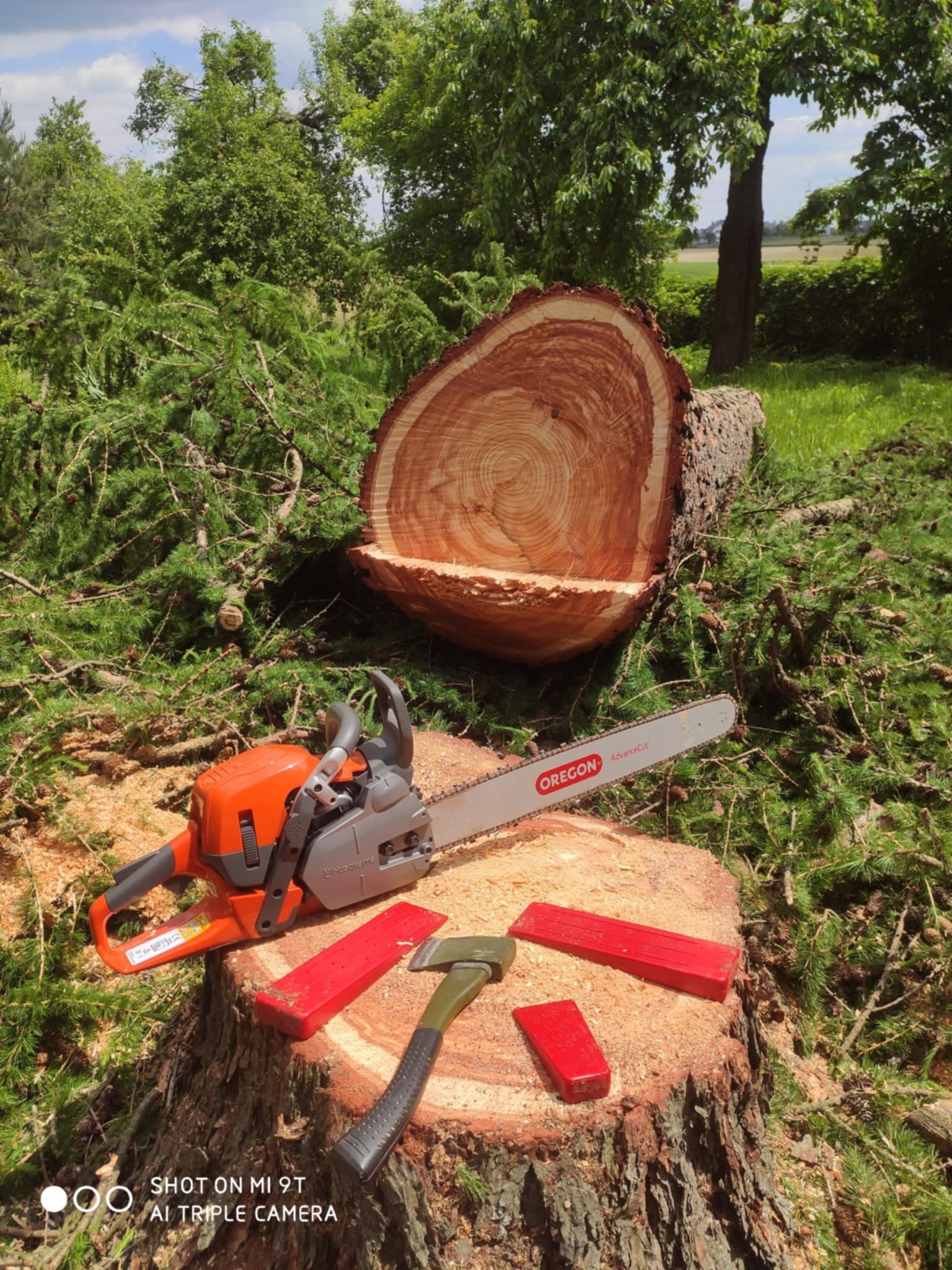 Ścięty pień drzewa z widocznymi słojami, piła spalinowa, kliny i siekiera na tle zieleni. Prace ogrodnicze po wycince.