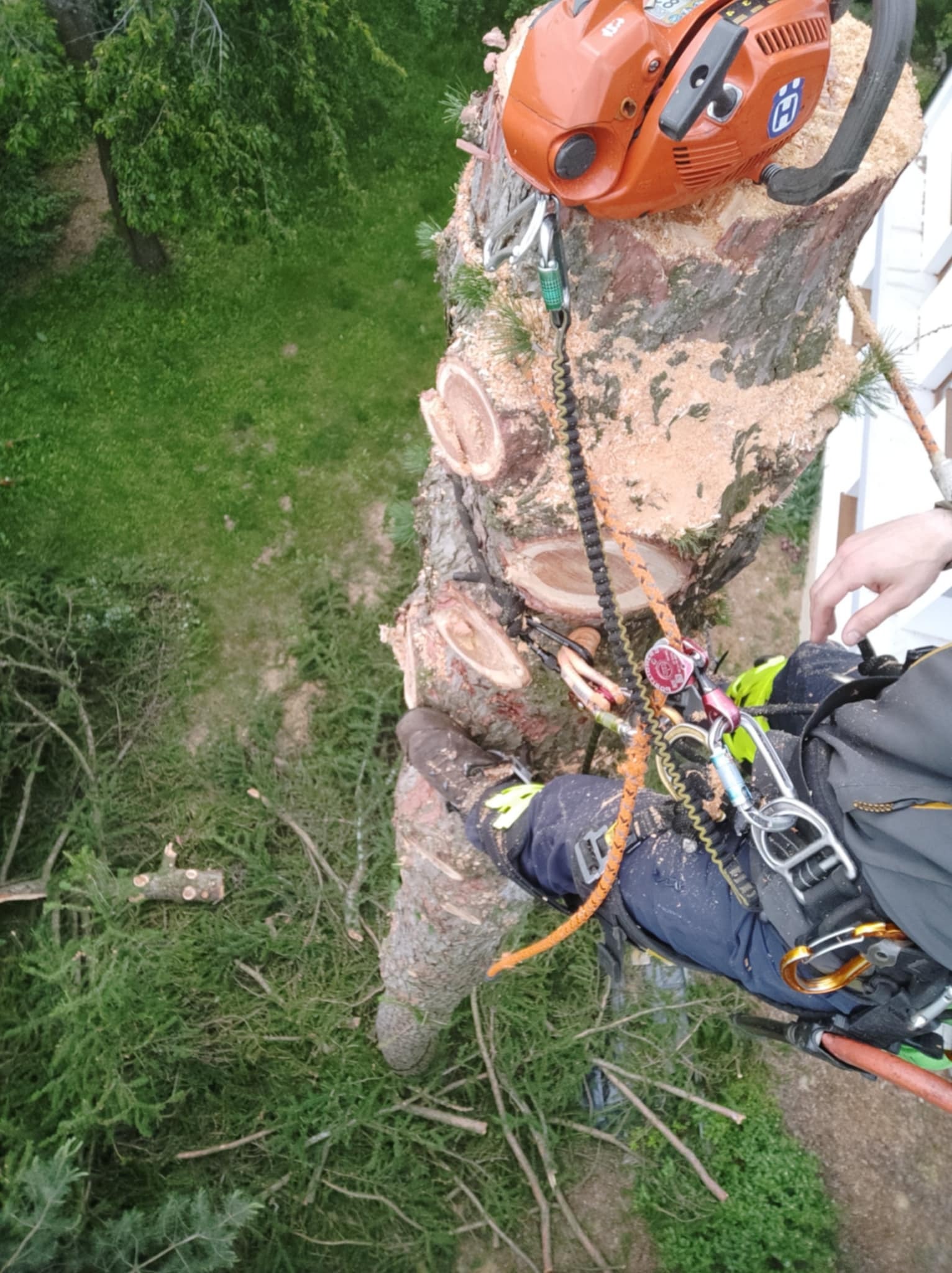 Widok z góry na pocięte drzewo, na którym leży pomarańczowa piła spalinowa Husqvarna. W tle widoczne zielone trawniki i fragment białego ogrodzenia.