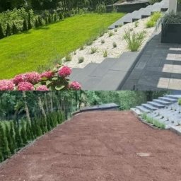 Przycinanie drzew Lublin 1