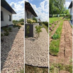 Przycinanie drzew Lublin 4