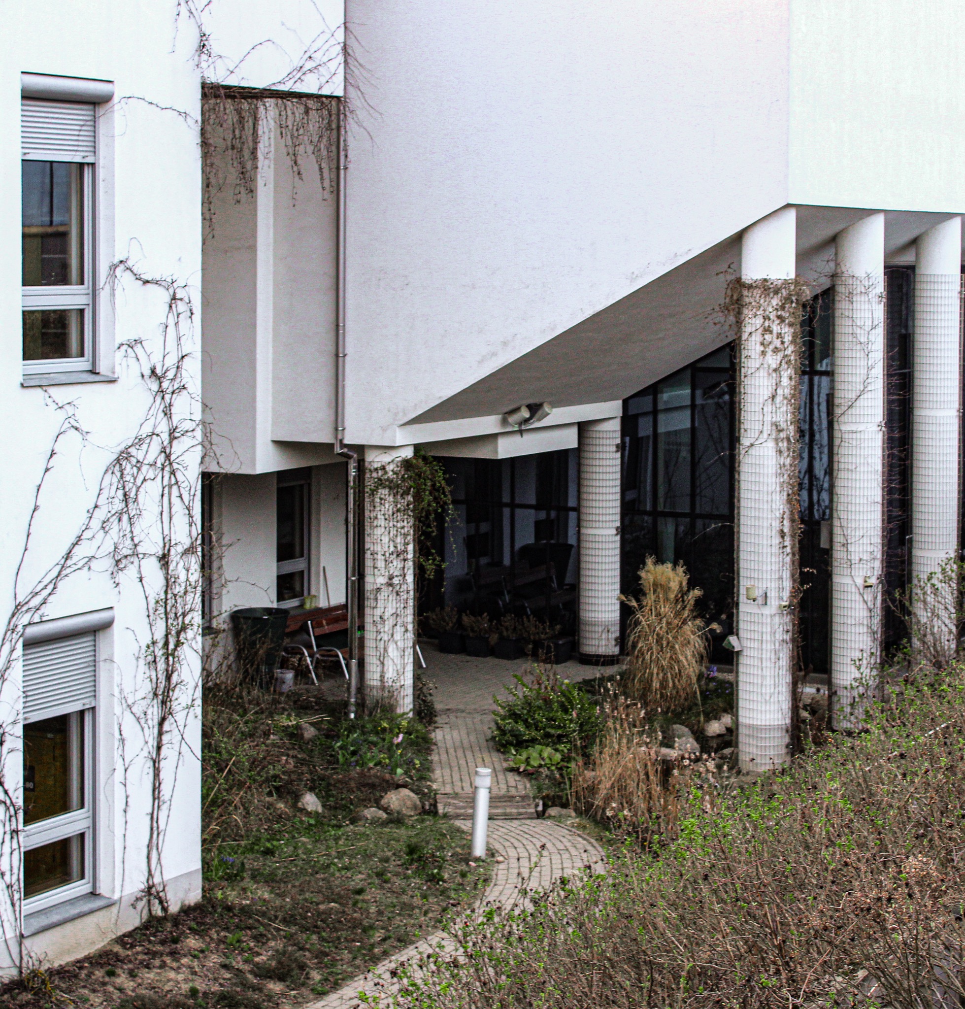 Biały budynek z kolumnami obrośniętymi pnączami, widok z góry na ścieżkę i zieleń.