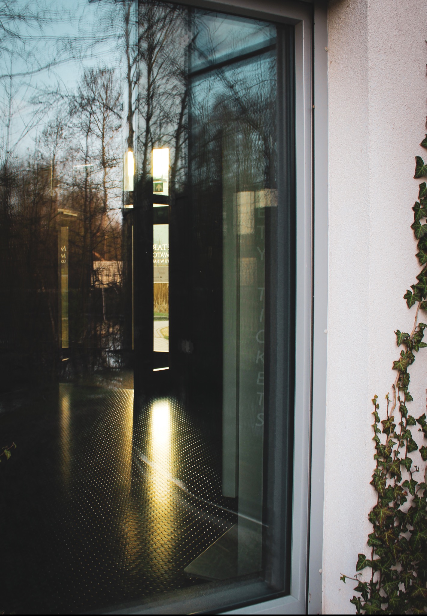 Refleksy drzew i nieba na dużej szybie wystawowej budynku z napisem 'TICKETS', obok ściany z bluszczem.