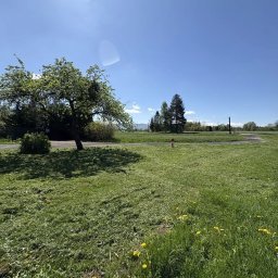 Koszenie trawy Bielsko-Biała 1