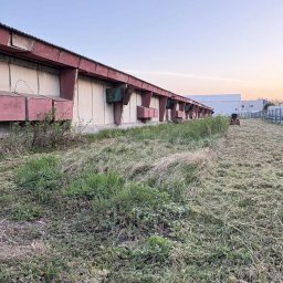 Koszenie trawy Bielsko-Biała 2