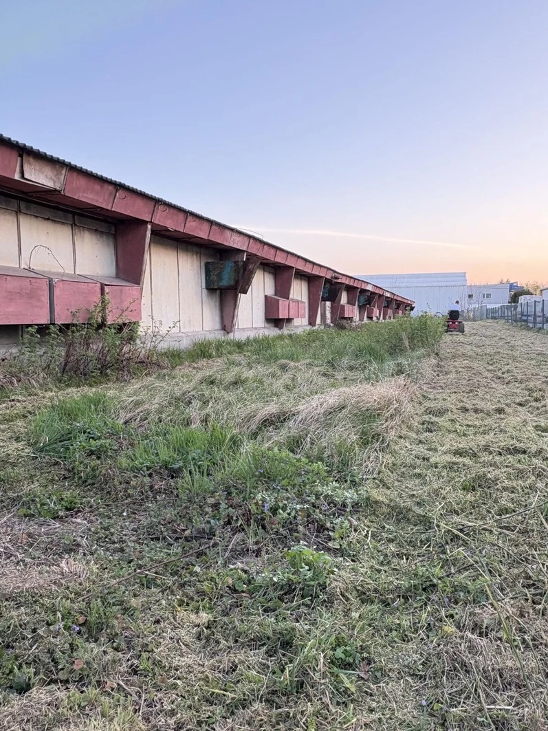 Koszenie trawy traktorkiem przy budynku gospodarczym. Część trawy skoszona, część jeszcze nie. Widoczny budynek z czerwonymi elementami.