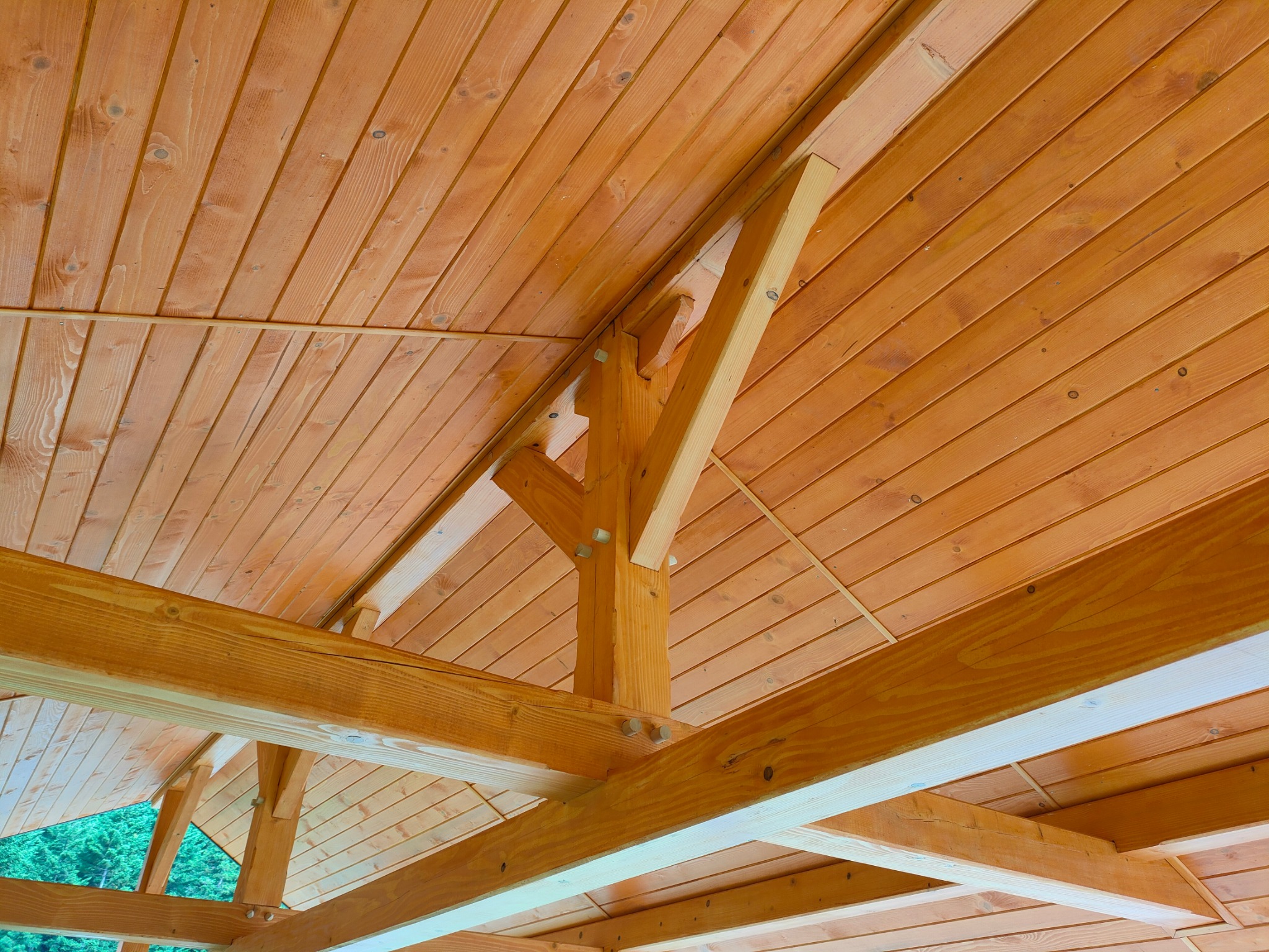 Jasne drewno konstrukcyjne z widocznymi słojami tworzy sufit z belek i desek. Widok z dołu ukazuje detale łączeń i naturalne światło wpadające z zewnątrz.