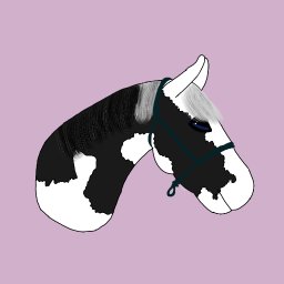 Malarstwo artystyczne Nowa Sól 4