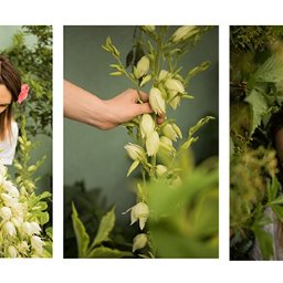 sesje kobiece, portretowe 