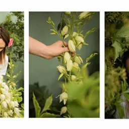 sesje kobiece, portretowe