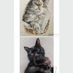 Ręcznie rysowane portrety dwóch kotów: tricolor w koszyku i czarny z jednym okiem, na jasnym tle z delikatnymi plamkami, z autografem autora.