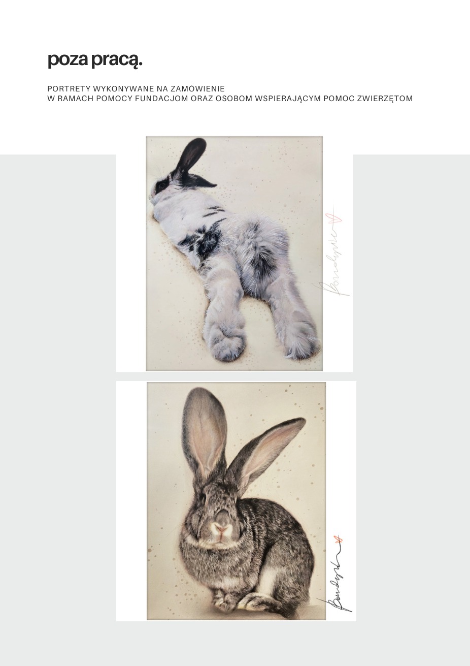 Dwa portrety królików w pastelowych barwach, wykonane na zamówienie dla fundacji wspierających zwierzęta. Widoczny podpis autora.