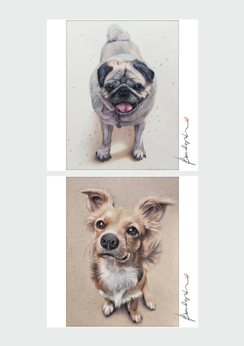 Dwa realistyczne rysunki psów: mops z góry i kundel z dołu, oba z podpisem artysty po prawej stronie. Pastelowe kolory, neutralne tło.