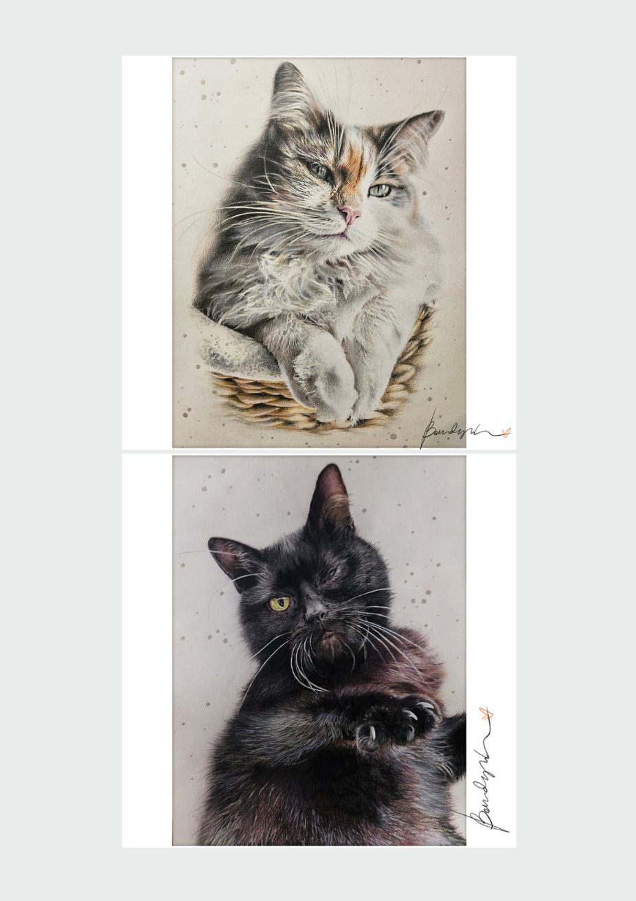 Ręcznie rysowane portrety dwóch kotów: tricolor w koszyku i czarny z jednym okiem, na jasnym tle z delikatnymi plamkami, z autografem autora.