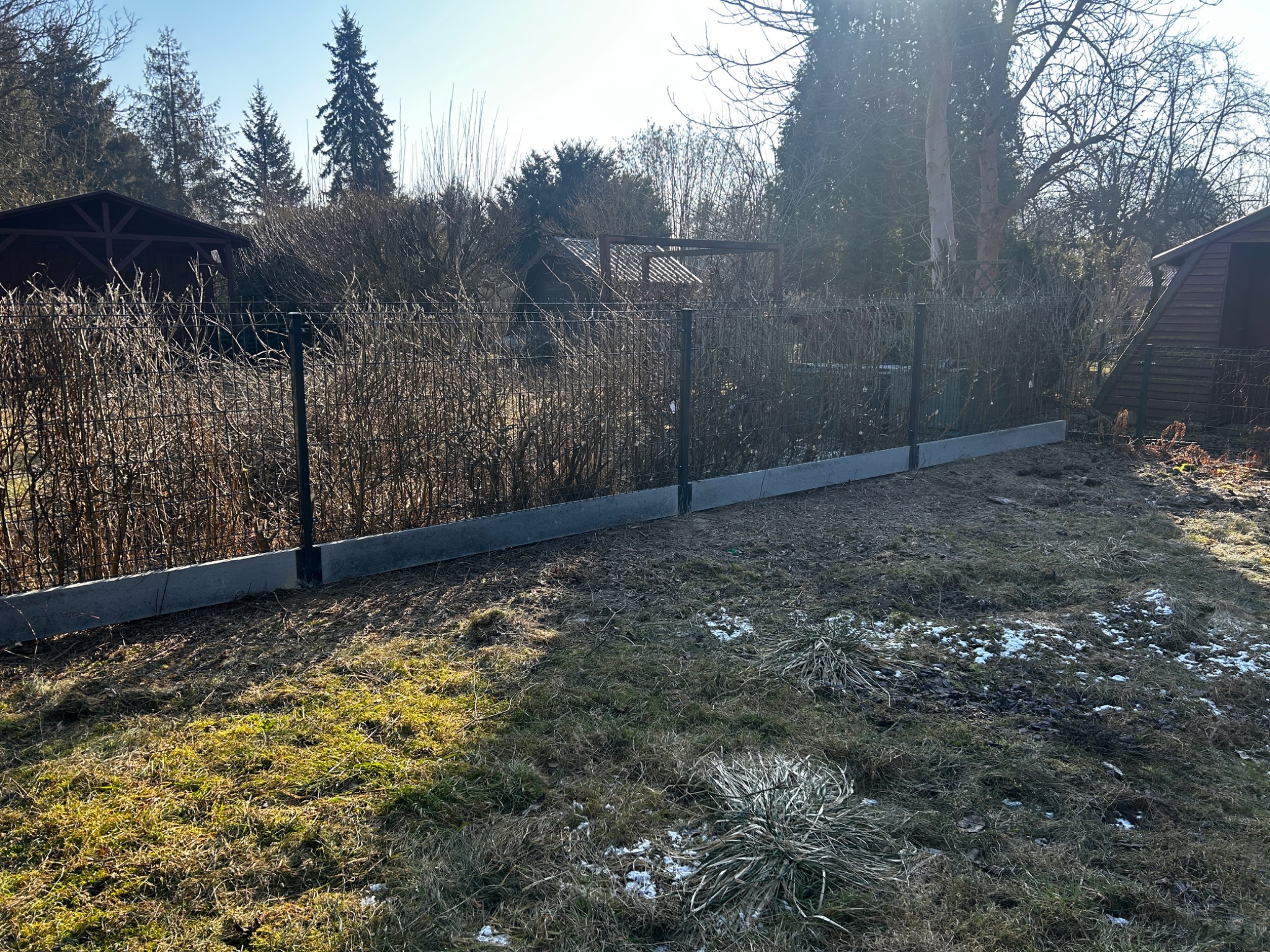 Ogrodzenie panelowe z podmurówką betonową i żywopłotem z krzewów liściastych, widok z zewnątrz posesji, w tle zabudowa jednorodzinna i drzewa.