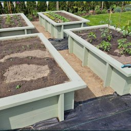 Be.maniera-wood - Podwyższone rabaty warzywne z jasnego drewna, w różnym stadium uprawy, z widocznymi sadzonkami pomidorów, sałaty i innych warzyw, otoczone trawnikiem i roślinami ozdobnymi.