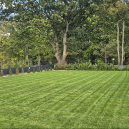 Trawa z rolki Skwierzynka 3