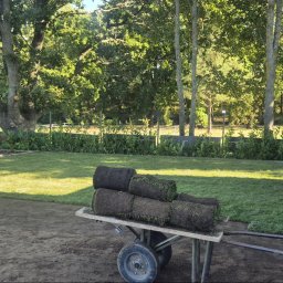 Trawa z rolki Skwierzynka 4