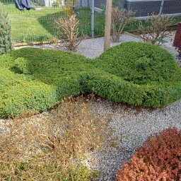 Przycinanie drzew Garwolin 3