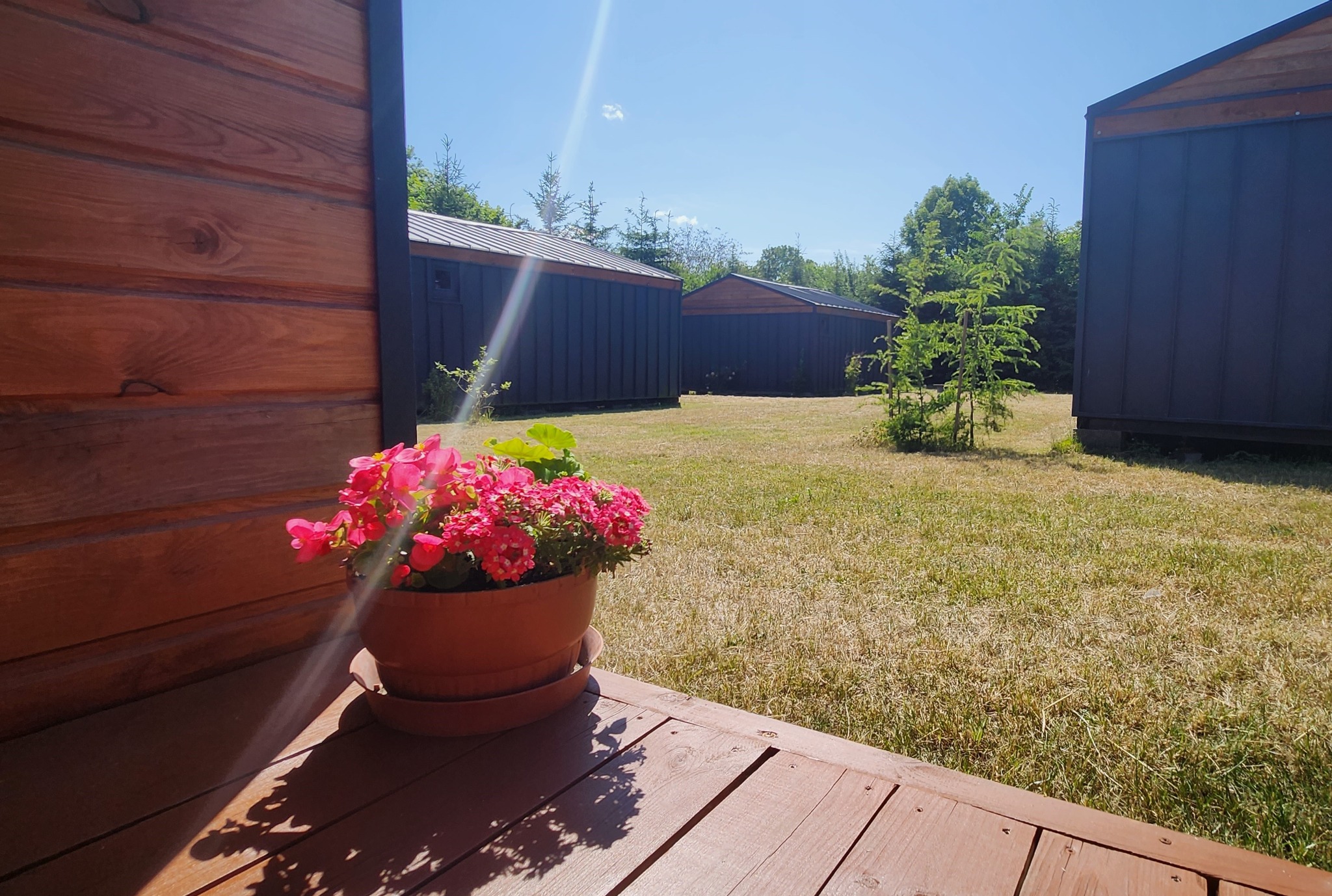 Widok z drewnianego tarasu na domki letniskowe, z doniczką z różowymi kwiatami w pierwszym planie, oświetlone słońcem.