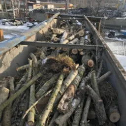 Kontener wypełniony pociętymi gałęziami i kłodami drzew, częściowo przykrytymi śniegiem, na tle przemysłowego krajobrazu z budynkami i składowiskami.