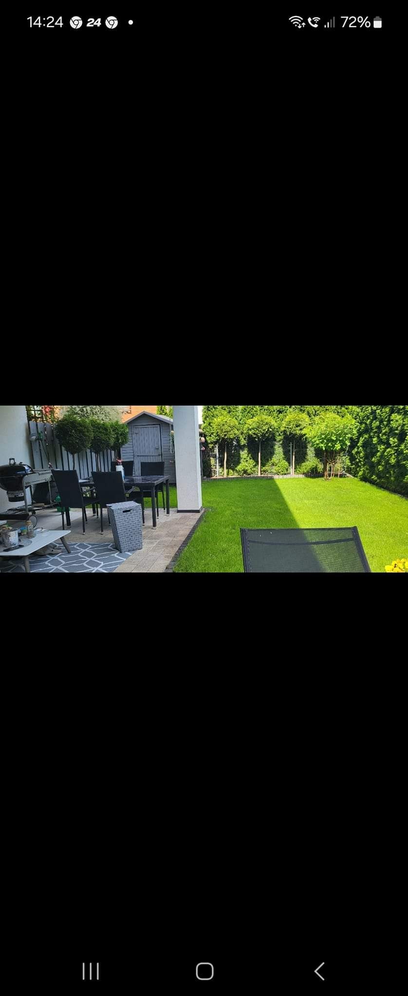 Trawa z siewu lub z rolki.