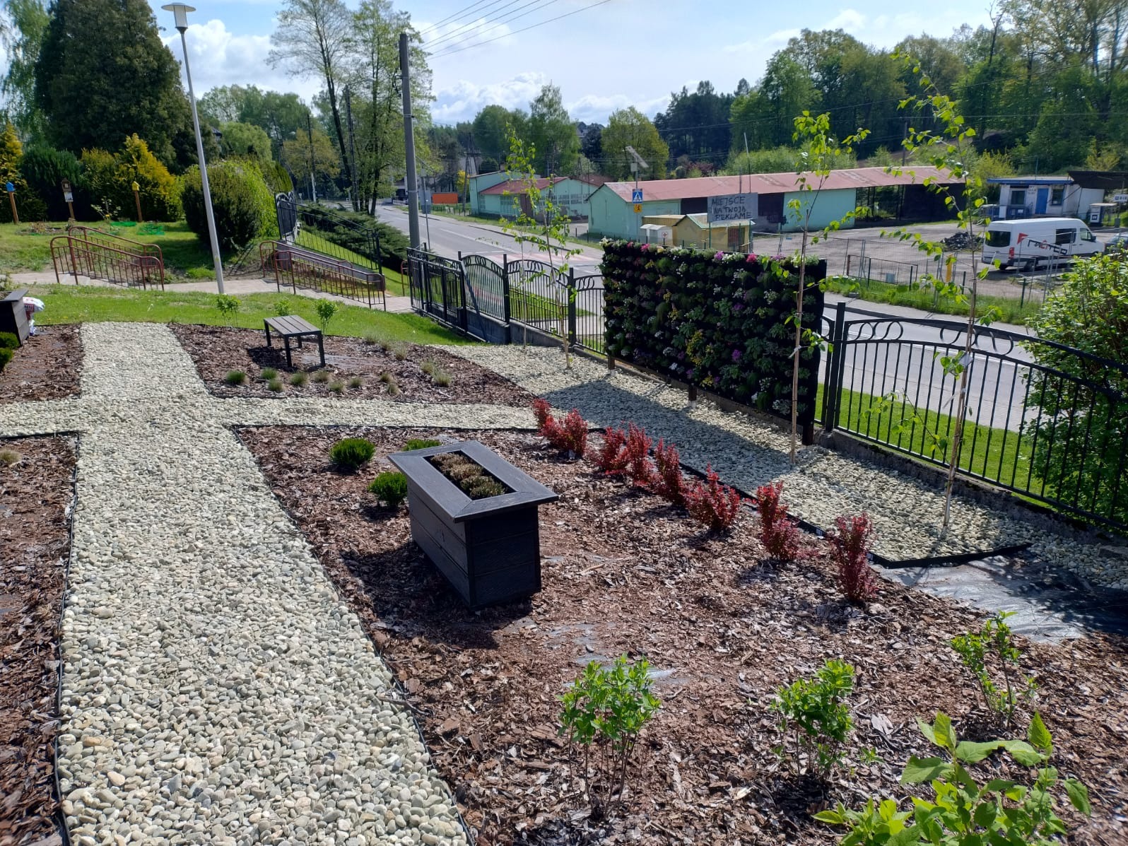 Nowo założony ogród z ścieżkami wysypanymi drobnymi kamieniami, rabatami z kory, pionową ścianą zieleni i młodymi drzewkami przy metalowym ogrodzeniu.