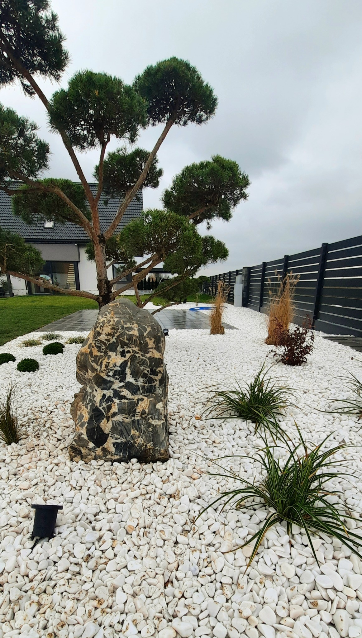 Nowoczesny ogród z białymi kamieniami, ozdobnym głazem, niskimi krzewami i sosną na tle domu z szarą dachówką i czarnym ogrodzeniem.