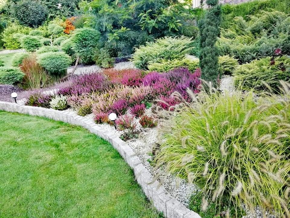 Kaskadowy ogród z wrzosami, ozdobnymi trawami i kamienną bordiurą, oświetlony małymi lampkami, w tle różnorodne krzewy i drzewa.