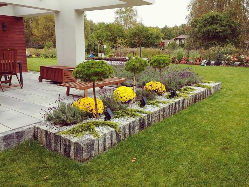 Kaskadowa rabata z obrzeżem z szarej kostki, wypełniona lawendą, kulistymi drzewkami i żółtymi chryzantemami, oświetlona lampkami solarnymi, na tle zadbanego trawnika i drewnianego tarasu.