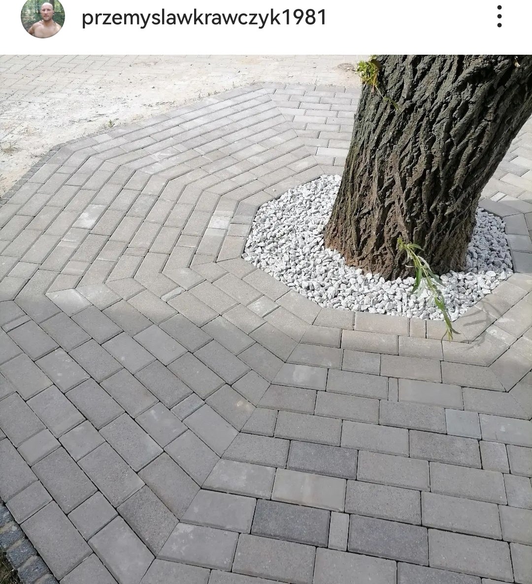 Ułożona kostka brukowa wokół pnia drzewa, wysypana drobnymi kamieniami, tworząca estetyczny element dekoracyjny w ogrodzie.