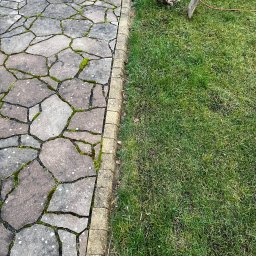 Usługi ogrodnicze Garden Design - Ścieżka z nieregularnych kamieni z mchem, obok trawnika z wbitym szpadlem i pomarańczowym kablem.