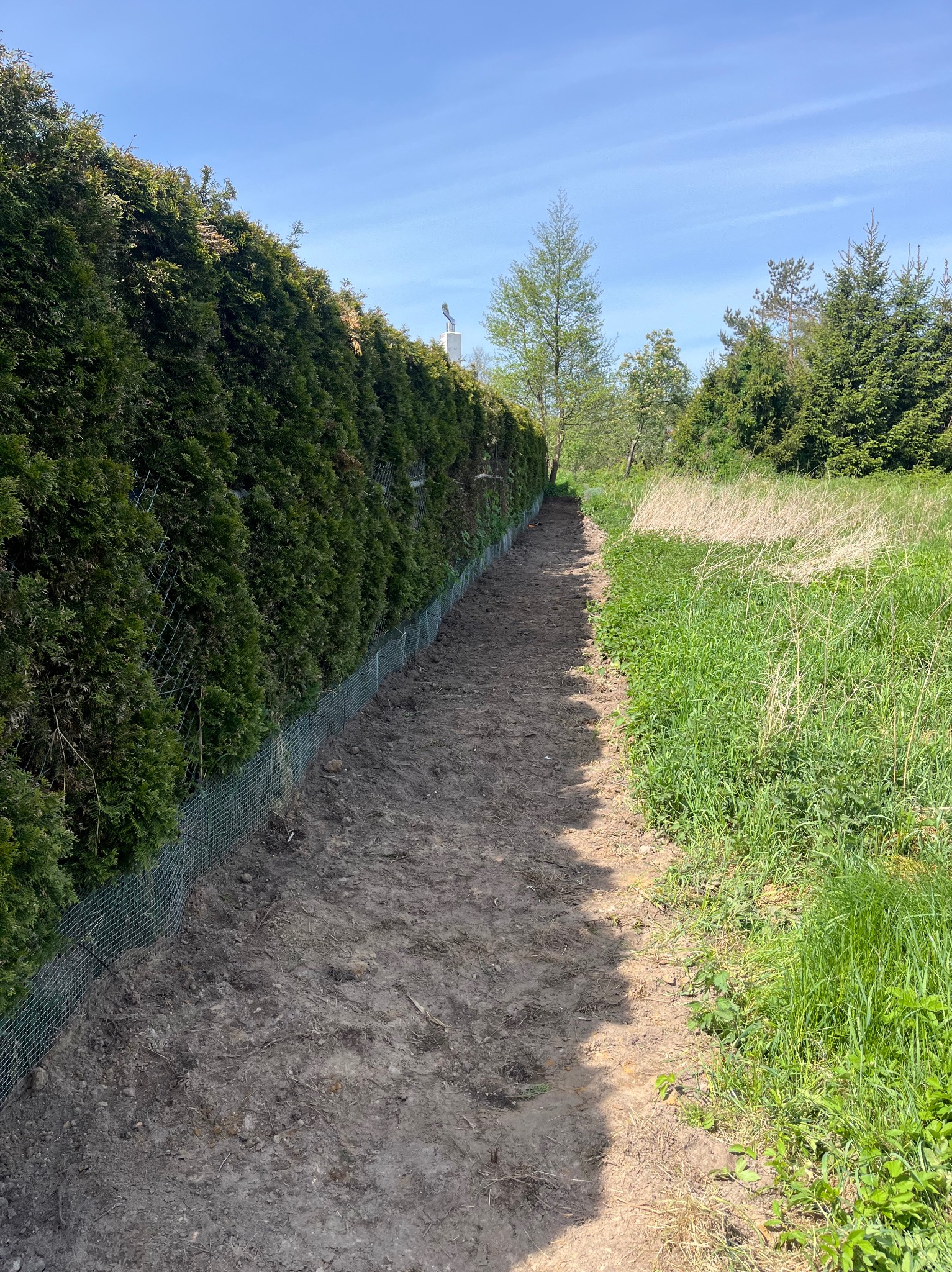 założenie siatki antykretowej 1m w ziemię