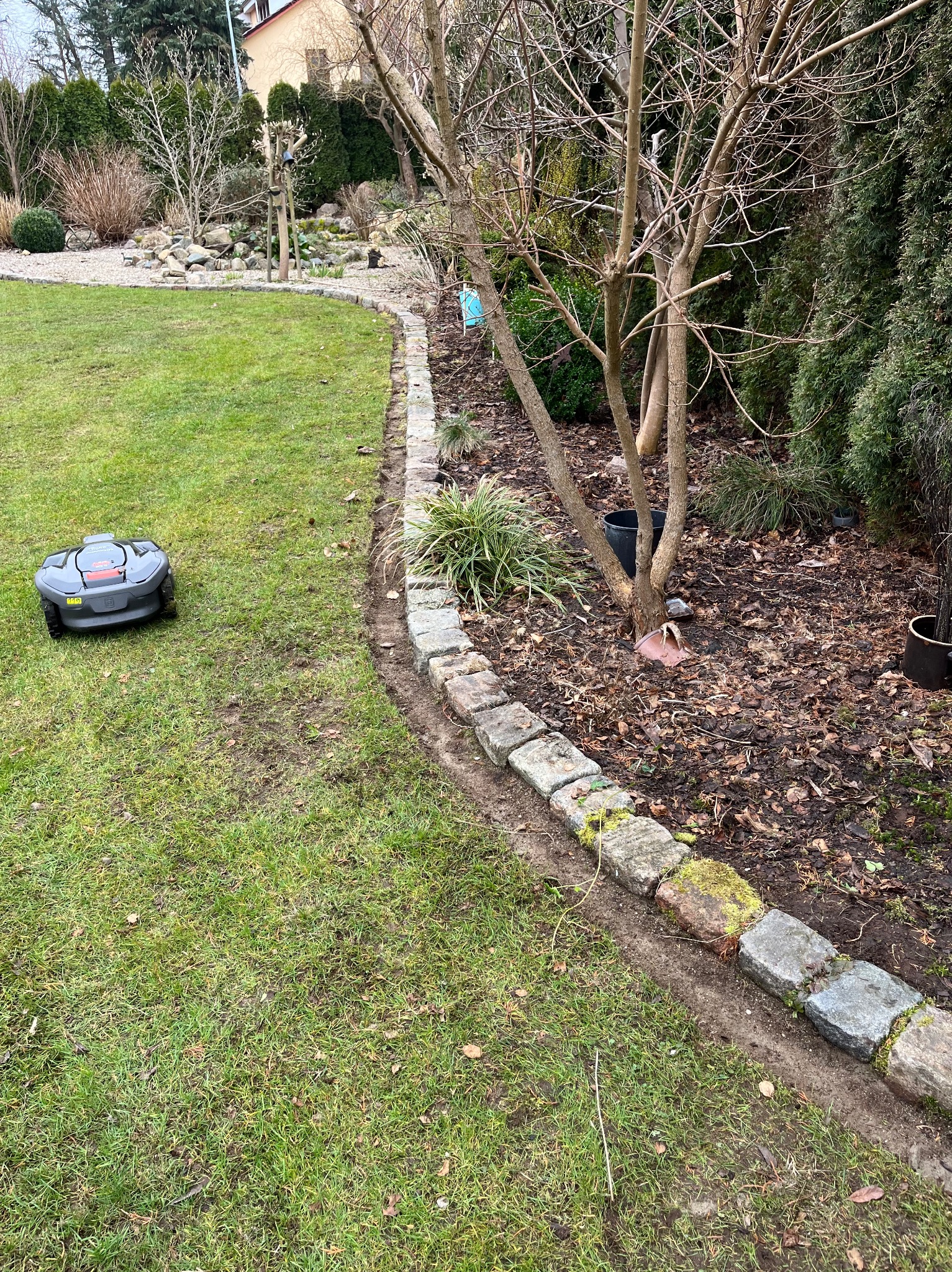 Robot koszący Husqvarna na trawniku obok kamiennej obwódki rabaty z drzewami i krzewami w ogrodzie.