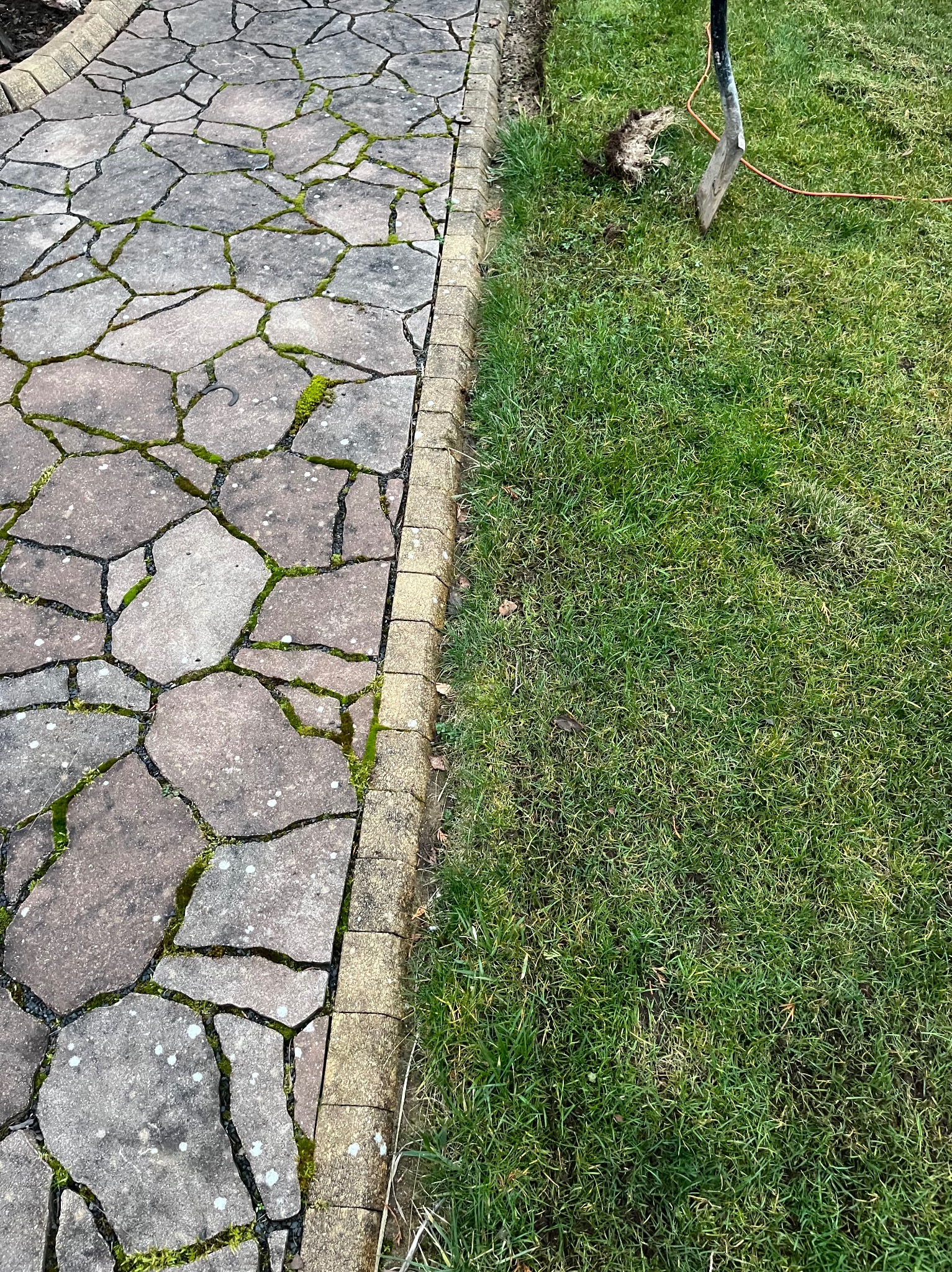 Ścieżka z nieregularnych kamieni z mchem, obok trawnika z wbitym szpadlem i pomarańczowym kablem.