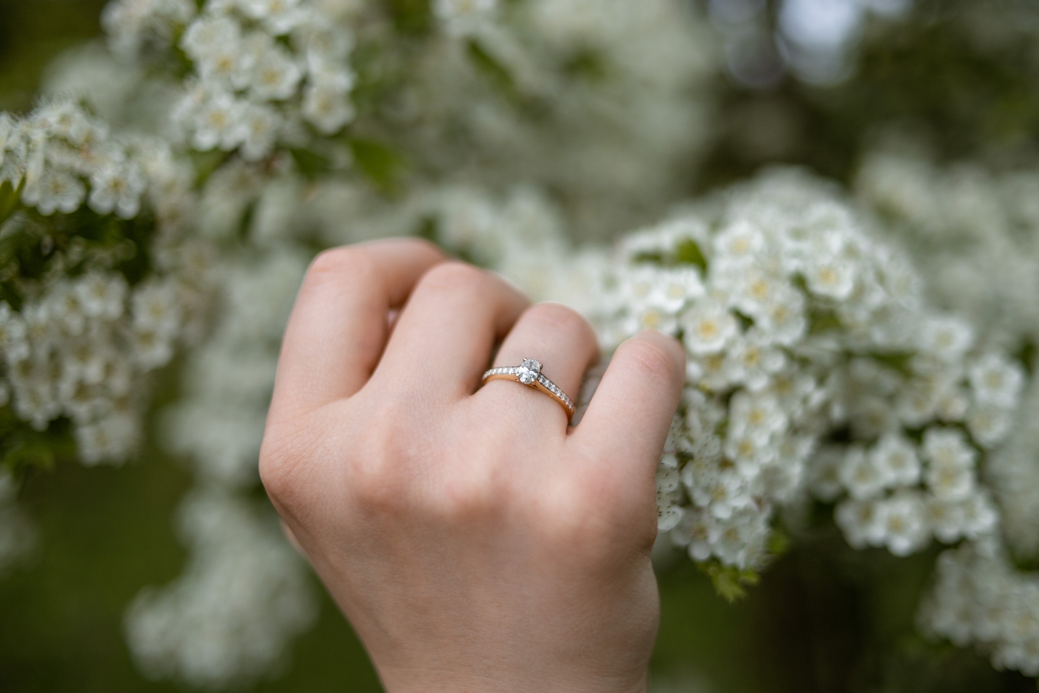 Dłoń z pierścionkiem zaręczynowym na tle kwitnącego krzewu. Złoty pierścionek z brylantem. Naturalne światło, delikatne rozmycie tła. Romantyczna atmosfera.